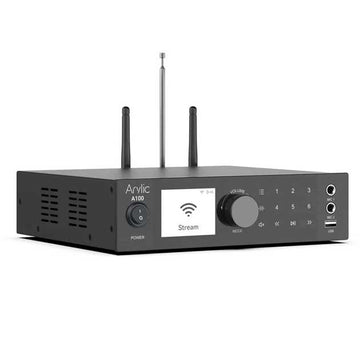 Arylic A100