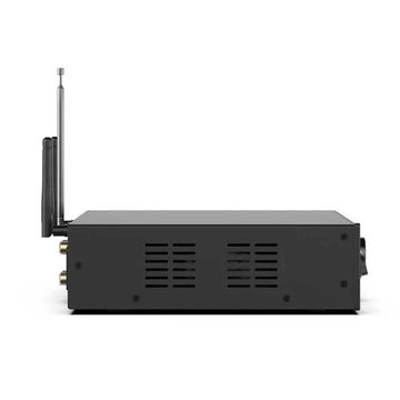 Arylic A100