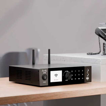 Arylic A100