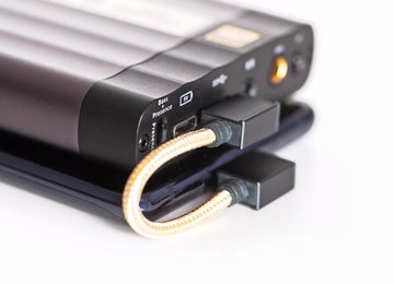 iFi Audio OTG Cable 90º Type C