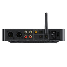 Load image into Gallery viewer, FiiO BR15 R2R
