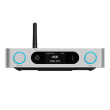 Load image into Gallery viewer, FiiO BR15 R2R
