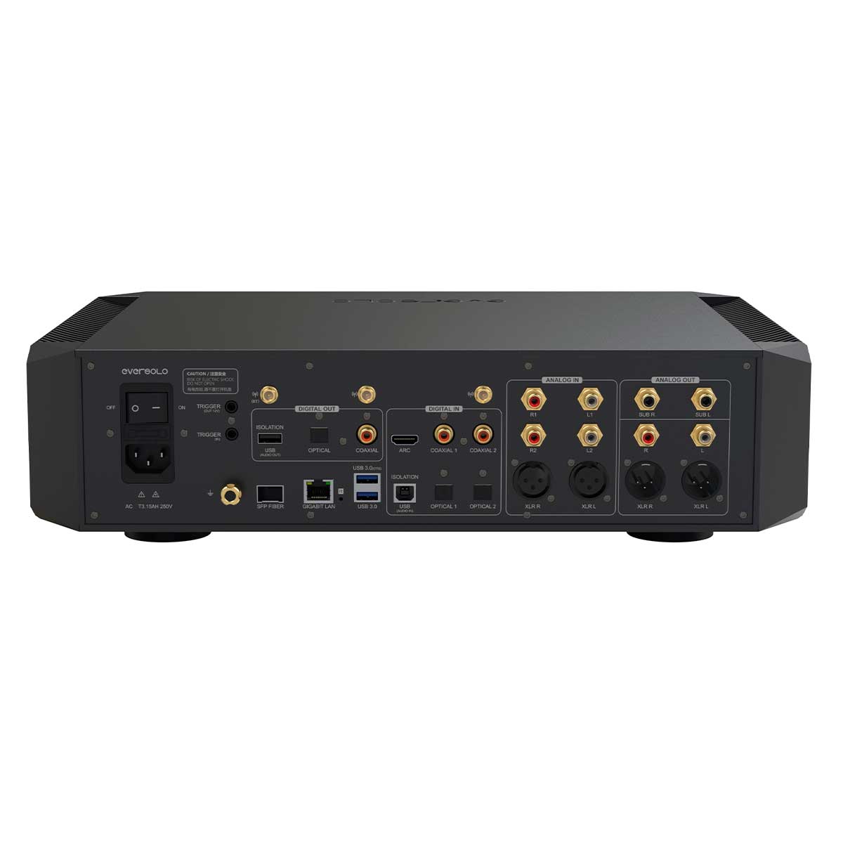 EverSolo DMP-A10