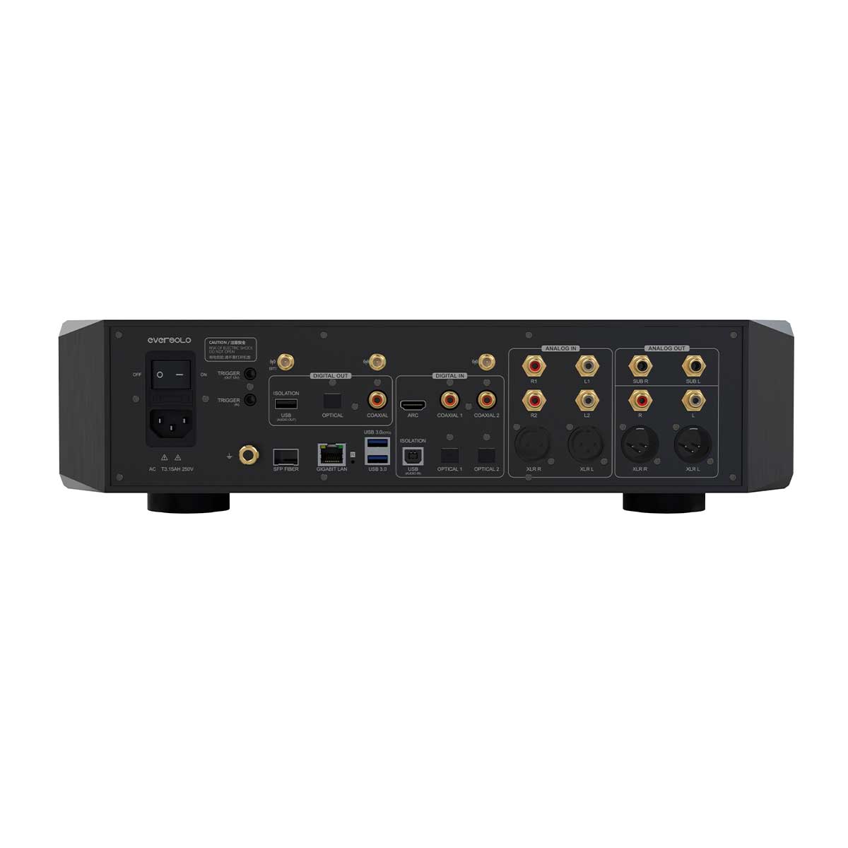 EverSolo DMP-A10