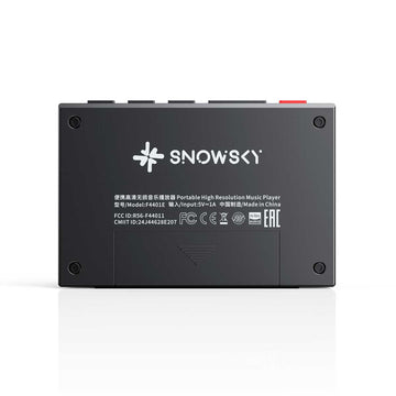 FiiO Snowsky ECHO MINI