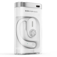 Cargar imagen en el visor de la galería, FiiO JW1
