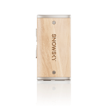 FiiO Snowsky Melody
