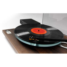 Cargar imagen en el visor de la galería, Rega Planar 3 50th Anniversary Edition
