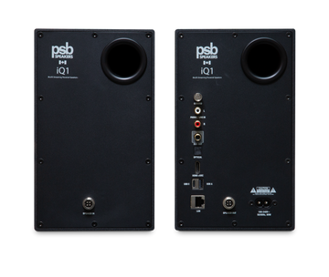 PSB IQ 1