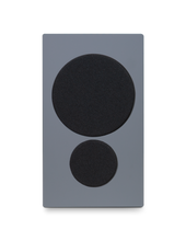 Load image into Gallery viewer, PSB IQ 2

