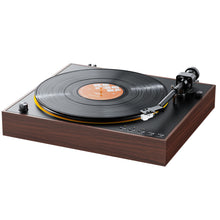 Cargar imagen en el visor de la galería, FiiO Turntable TT11
