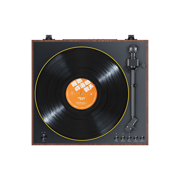 FiiO Turntable TT11