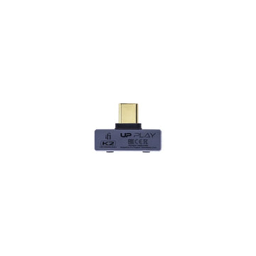 iFi Audio UP Play