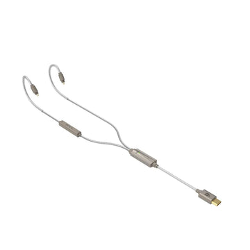 iFi Audio GO Cable