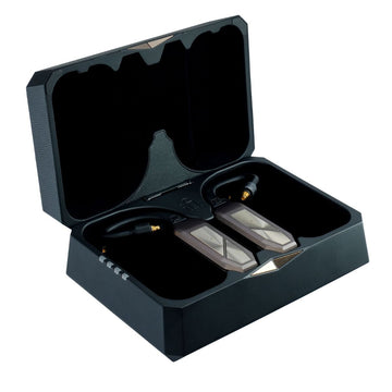 iFi Audio Go Pod Max caja