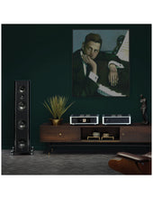 Cargar imagen en el visor de la galería, NAD M66
