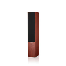 Cargar imagen en el visor de la galería, Bowers &amp; Wilkins 704 S2
