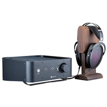 Cargar imagen en el visor de la galería, Hifiman Jade II System
