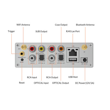 Arylic S50 Pro+