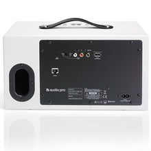 Load image into Gallery viewer, Audio Pro Addon C10
