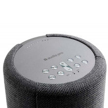 Cargar imagen en el visor de la galería, Audio Pro G10
