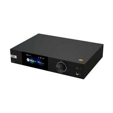EverSolo DAC-Z8