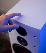 Load image into Gallery viewer, Dali Callisto 6 C
