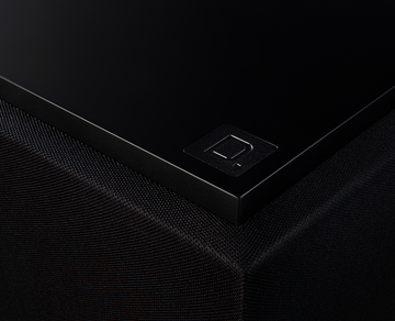 Definitive Technology Descend DN12