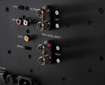 Definitive Technology Descend DN12