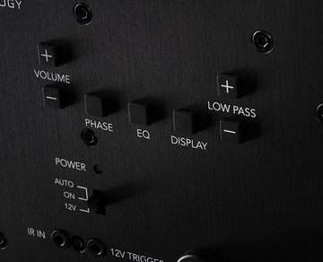 Definitive Technology Descend DN12