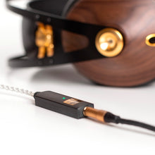 Cargar imagen en el visor de la galería, iFi Audio Go Link
