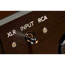 Cargar imagen en el visor de la galería, Violectric HPA V222
