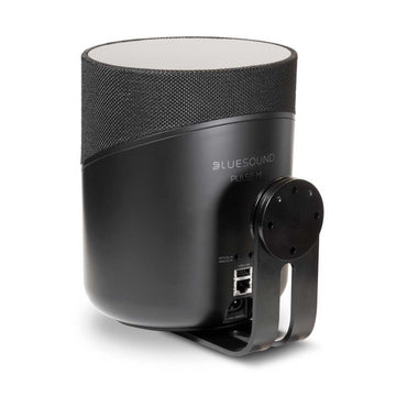 Bluesound PULSE M