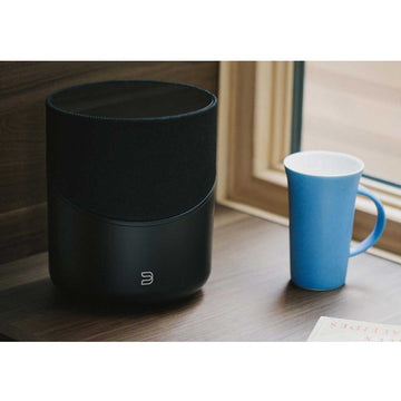 Bluesound PULSE M
