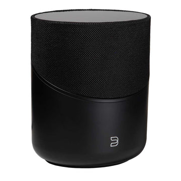 Bluesound PULSE M