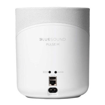 Bluesound PULSE M