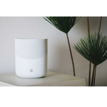 Load image into Gallery viewer, Bluesound PULSE M
