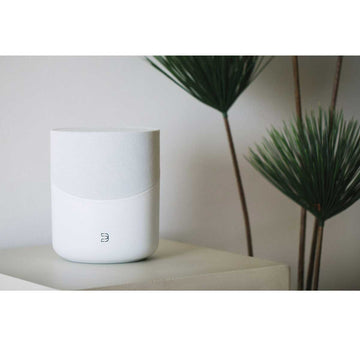 Bluesound PULSE M