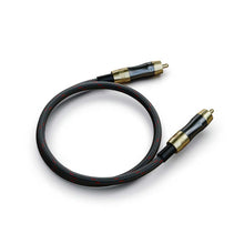 Cargar imagen en el visor de la galería, FiiO LR-RCA1 general
