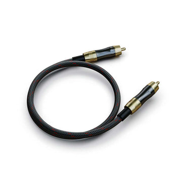 FiiO LR-RCA1 general