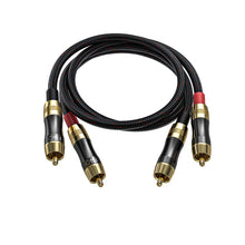 Cargar imagen en el visor de la galería, FiiO LR-RCA2 general
