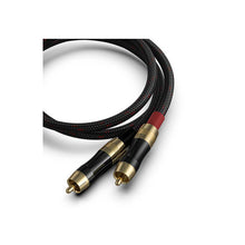 Cargar imagen en el visor de la galería, FiiO LR-RCA2 detalle
