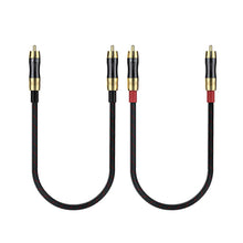 Cargar imagen en el visor de la galería, FiiO LR-RCA2 conectores general
