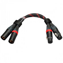 Cargar imagen en el visor de la galería, Topping TCX1 - Reacondicionado
