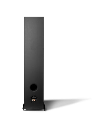 Cambridge Audio SX80 Matt Black conexiones