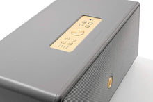 Load image into Gallery viewer, Audio Pro D-1 botones gris
