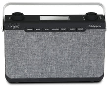 Cargar imagen en el visor de la galería, Tangent DAB2go Junior Frontal
