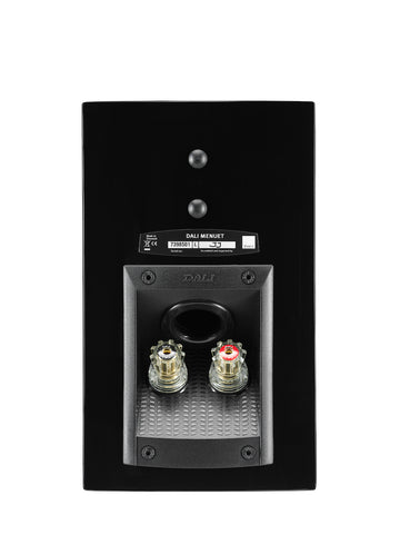 Dali Menuet negro conexiones