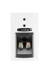 Cargar imagen en el visor de la galería, Dali Menuet blanco conexiones
