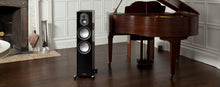 Cargar imagen en el visor de la galería, Monitor Audio Gold 300
